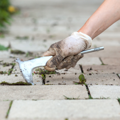 Eine Hand mit Handschuh entfernt Unkraut aus einem Pflastersteingarten.