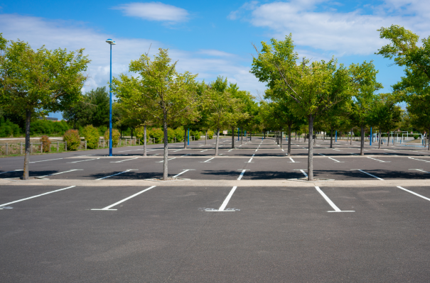 Leerer Parkplatz mit mehreren Bäumen und blauen Markierungen unter einem klaren Himmel.